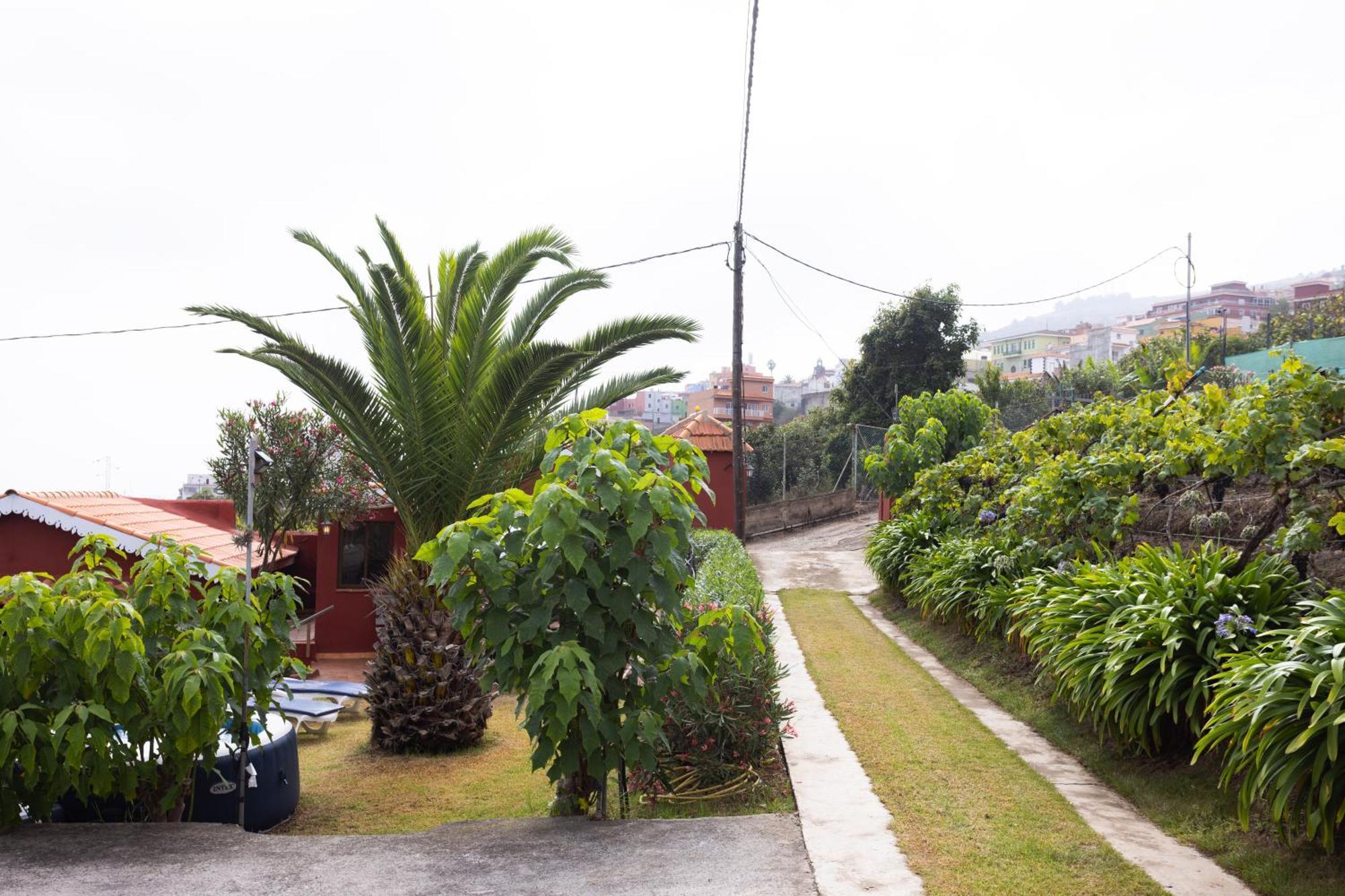 Home2Book Serene Retreat Isabel, Jacuzzi & Garden Icod el Alto Esterno foto